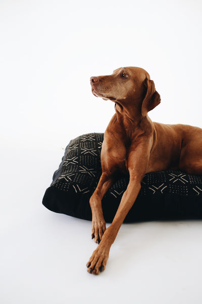 Luxury Pet Beds